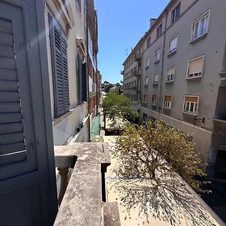 Flanatika * Pula